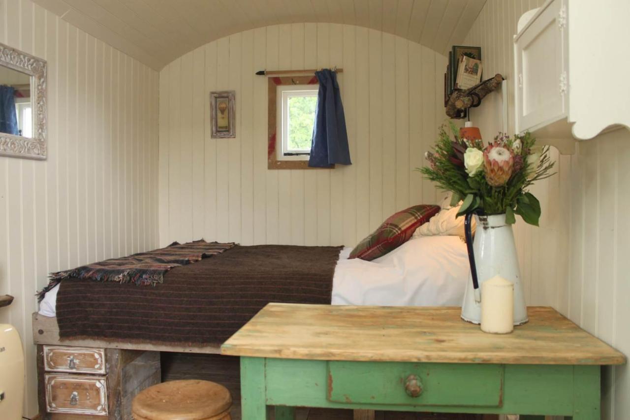 Sumners Ponds Fishery & Campsite Hotell Horsham Exteriör bild